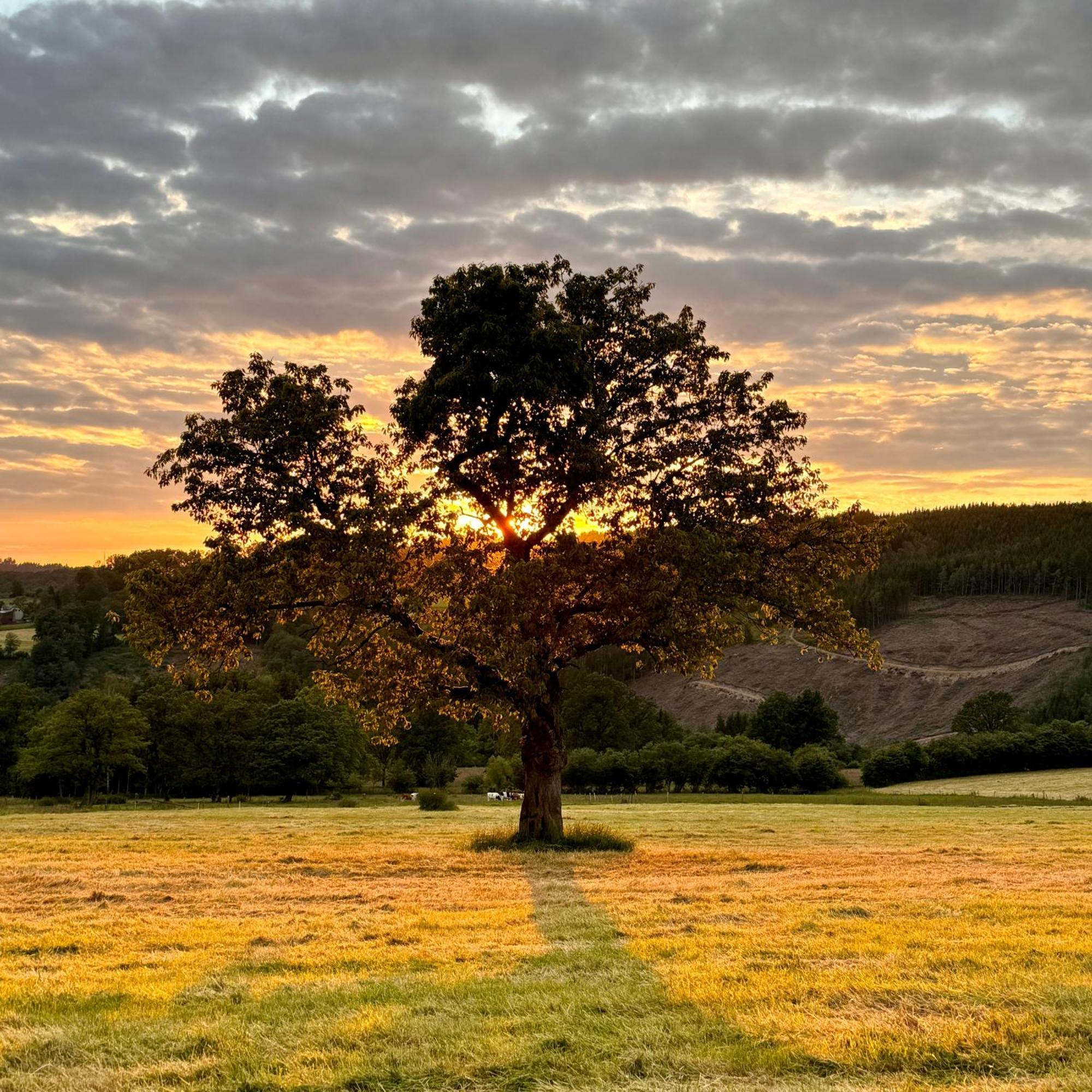 Le Dragon - Gite Accueillant Malmedy Bagian luar foto