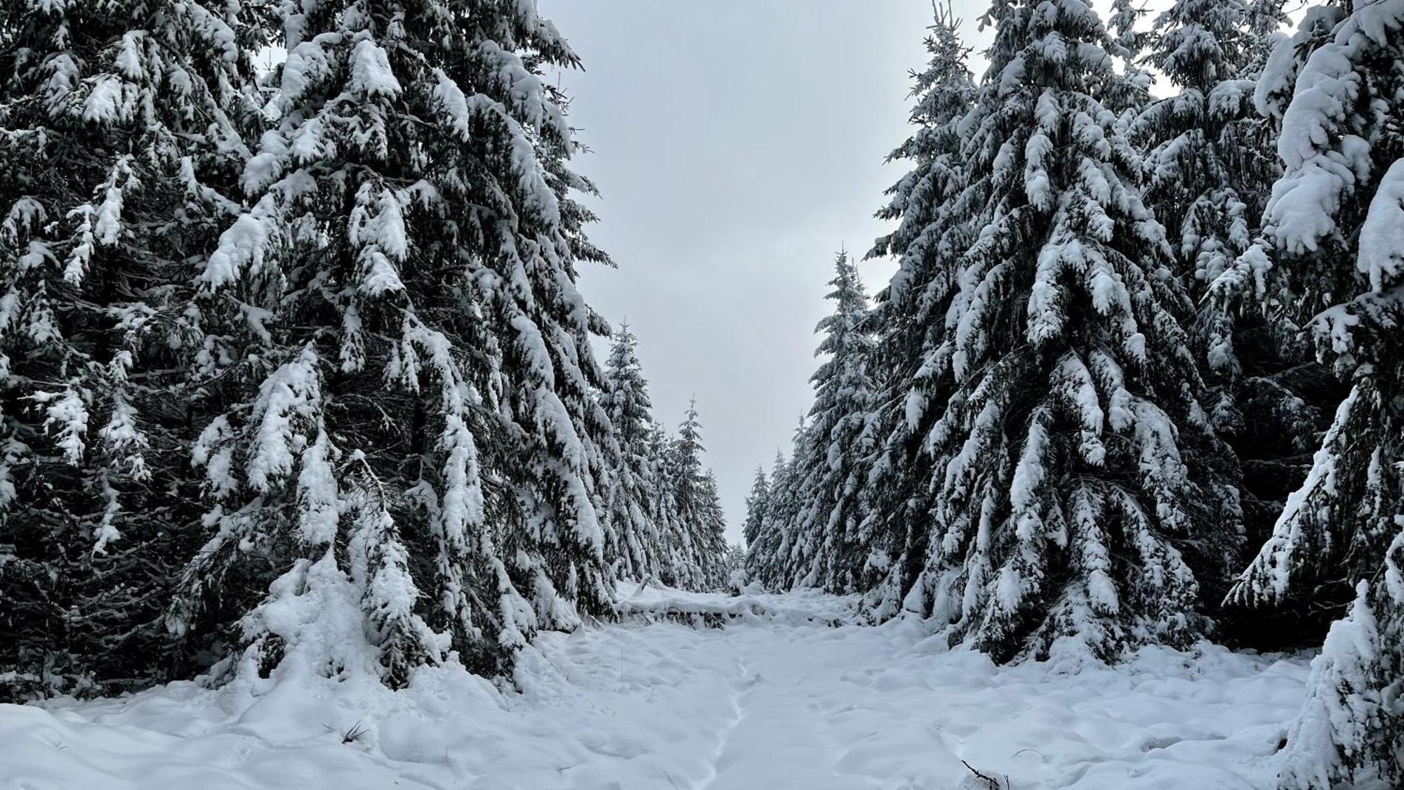 Le Dragon - Gite Accueillant Malmedy Bagian luar foto