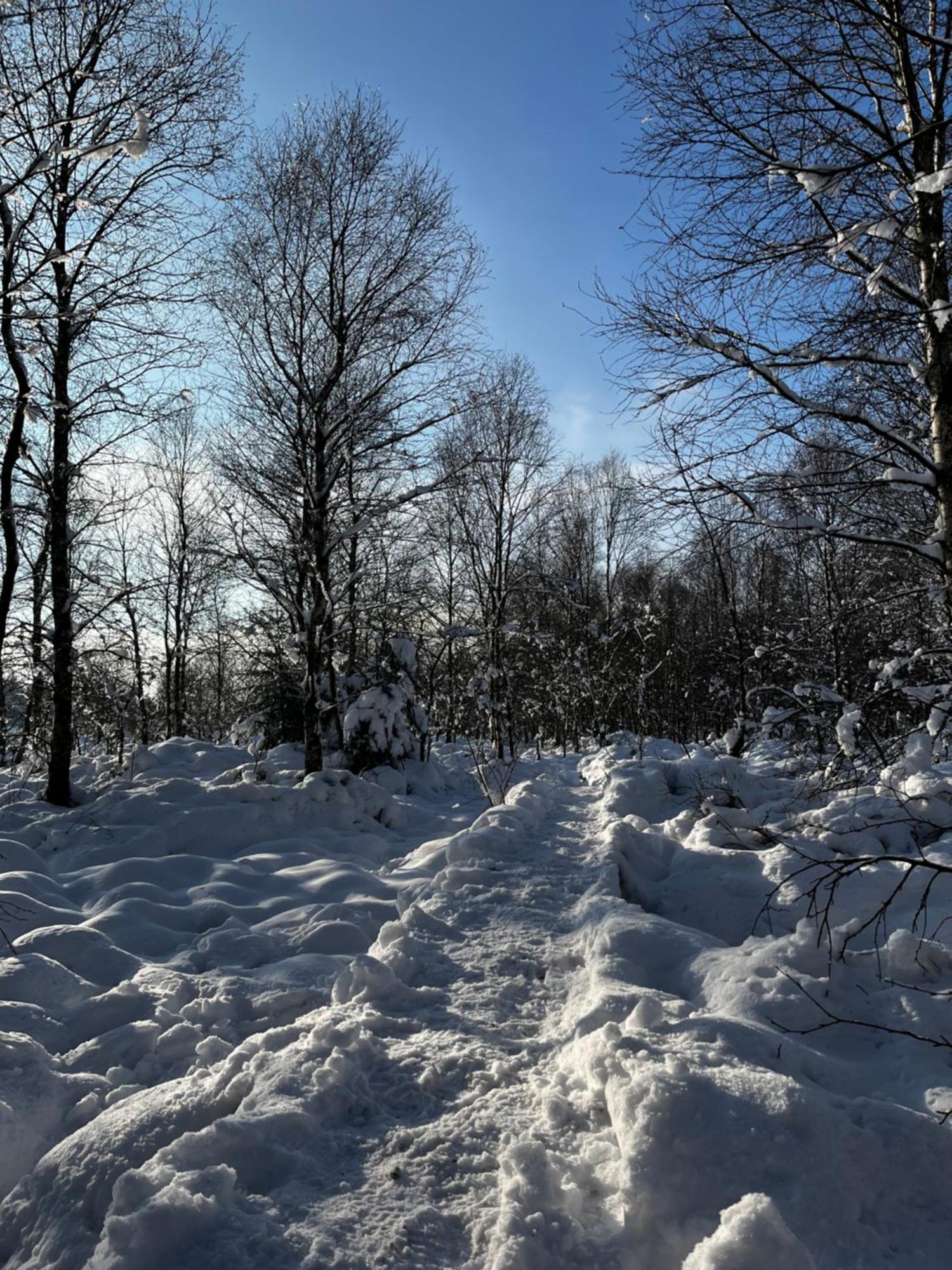 Le Dragon - Gite Accueillant Malmedy Bagian luar foto