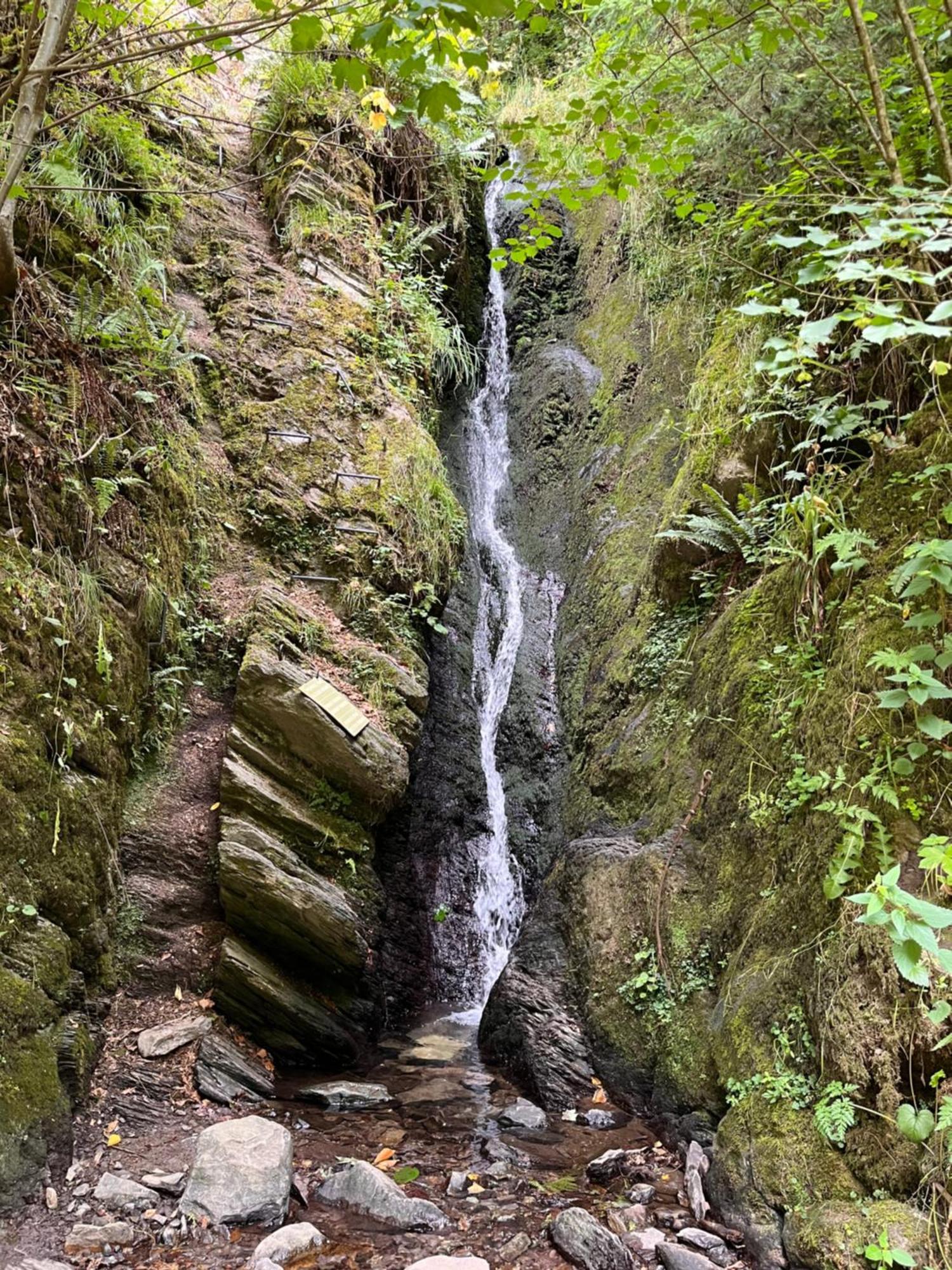 Le Dragon - Gite Accueillant Malmedy Bagian luar foto