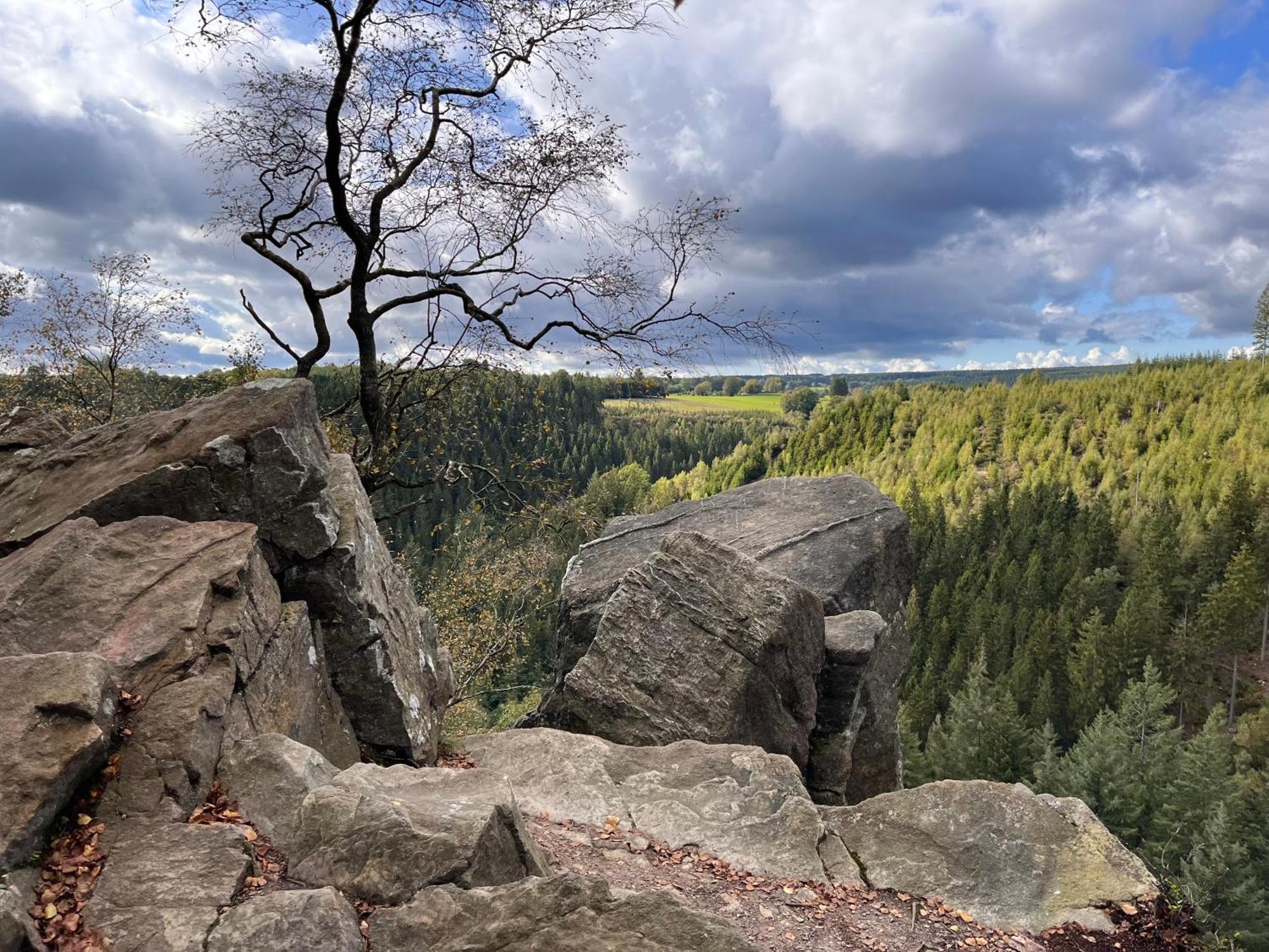 Le Dragon - Gite Accueillant Malmedy Bagian luar foto