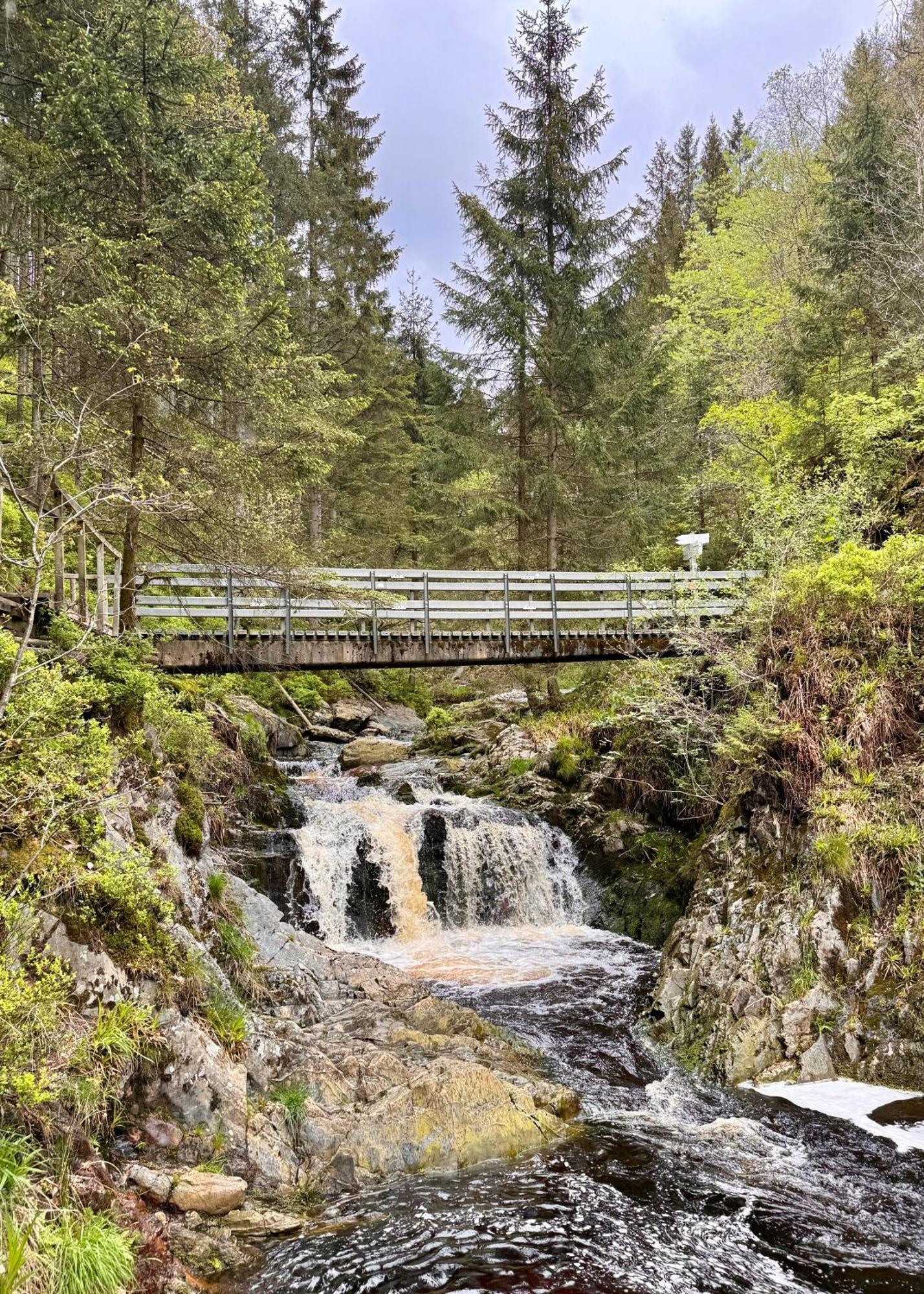 Le Dragon - Gite Accueillant Malmedy Bagian luar foto