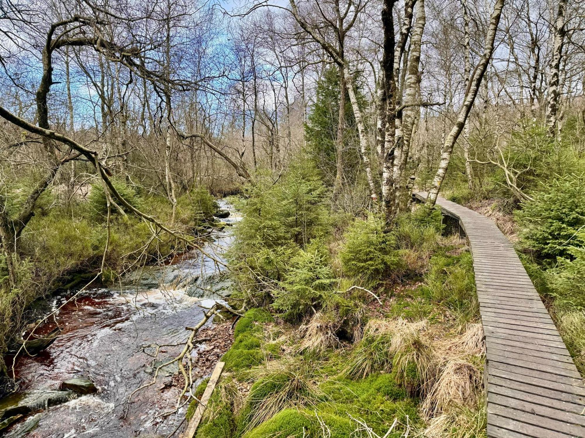 Le Dragon - Gite Accueillant Malmedy Bagian luar foto