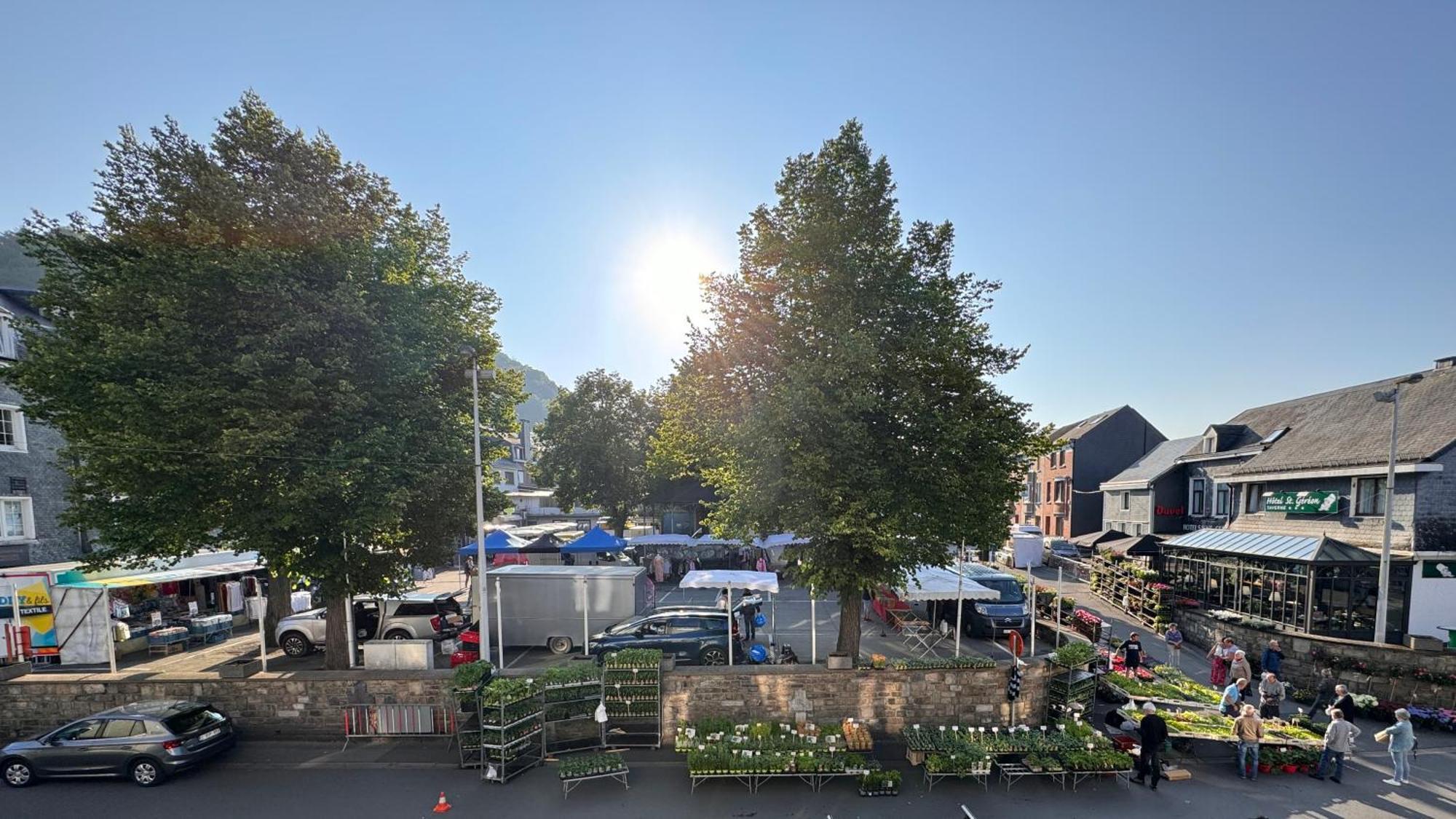 Le Dragon - Gite Accueillant Malmedy Bagian luar foto