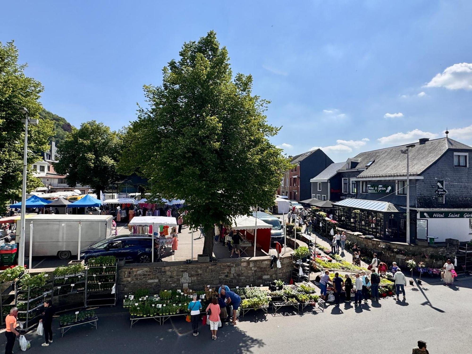Le Dragon - Gite Accueillant Malmedy Bagian luar foto