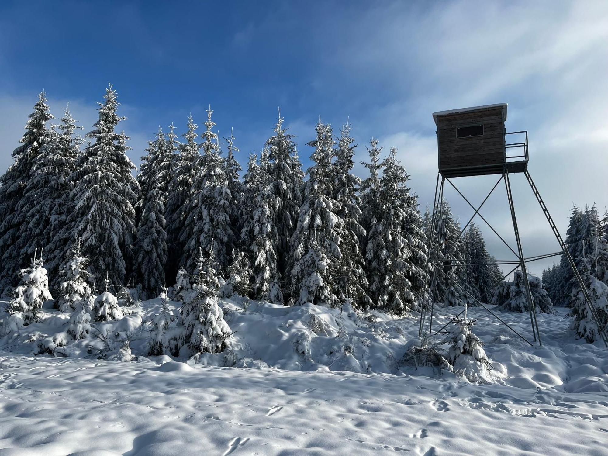 Le Dragon - Gite Accueillant Malmedy Bagian luar foto
