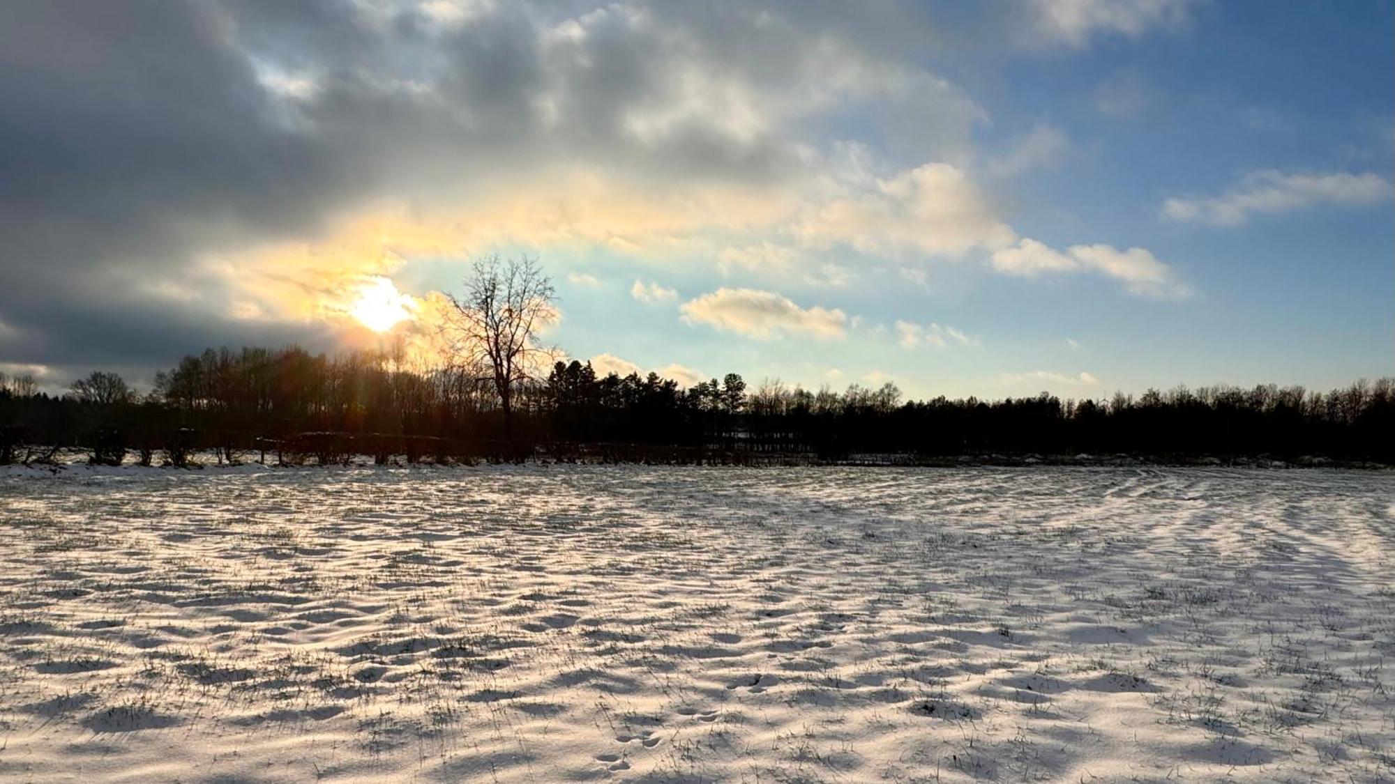 Le Dragon - Gite Accueillant Malmedy Bagian luar foto