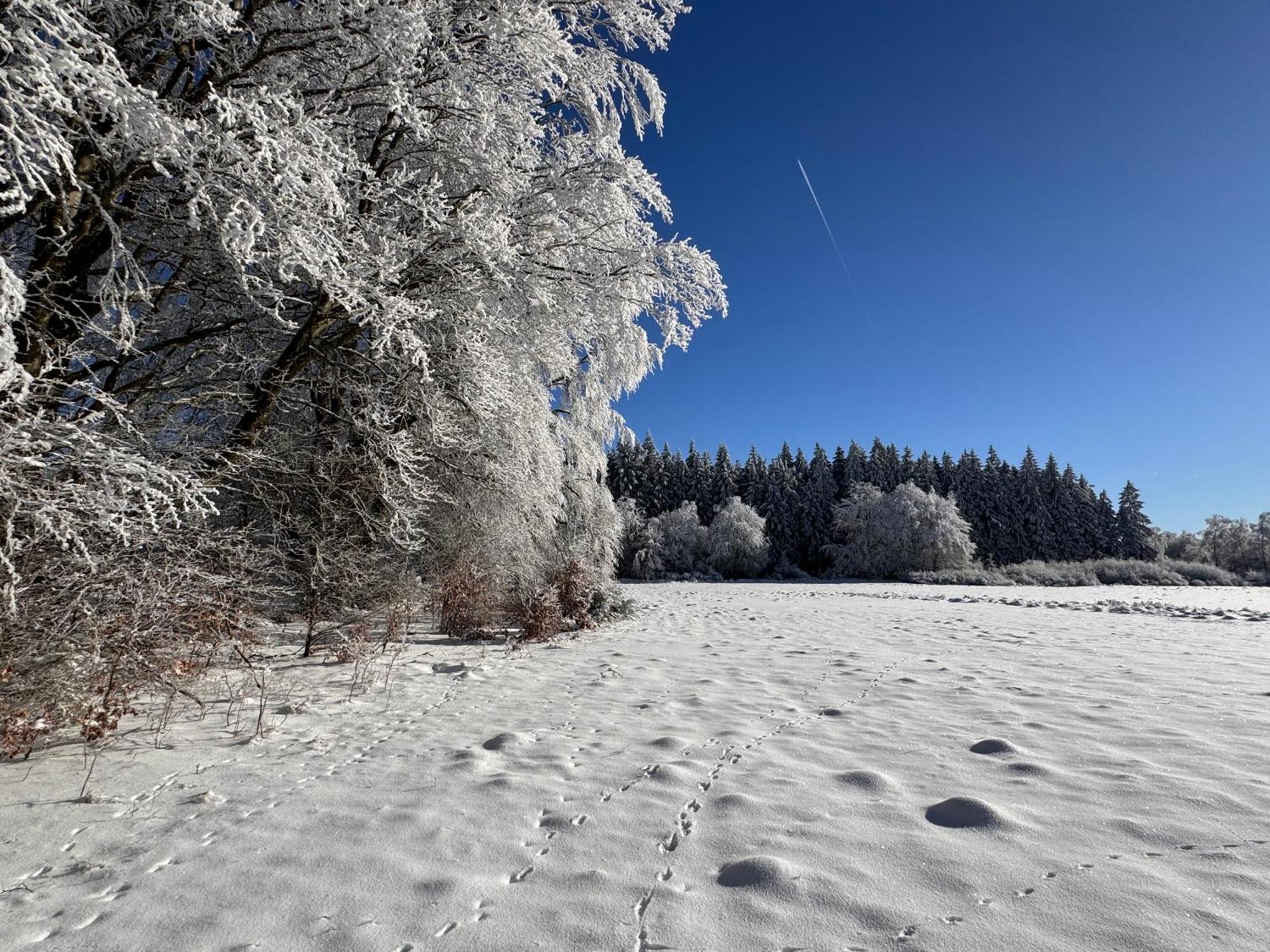 Le Dragon - Gite Accueillant Malmedy Bagian luar foto