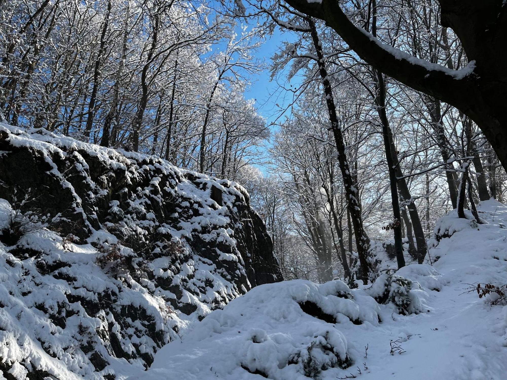 Le Dragon - Gite Accueillant Malmedy Bagian luar foto